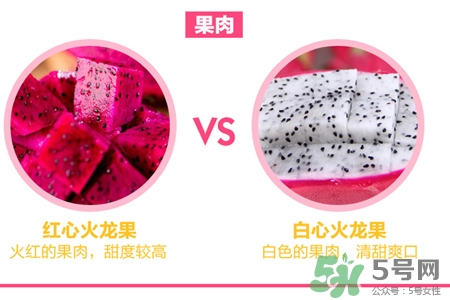 火龍果能天天吃嗎？火龍果每天都吃好嗎？