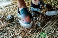 vans與acu合作款鞋子多少錢？vans與acu合作款鞋子價格
