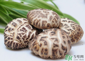 吃香菇有什么好處？吃香菇有什么壞處？