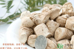 香菇根能吃嗎？香菇的根可以吃嗎？