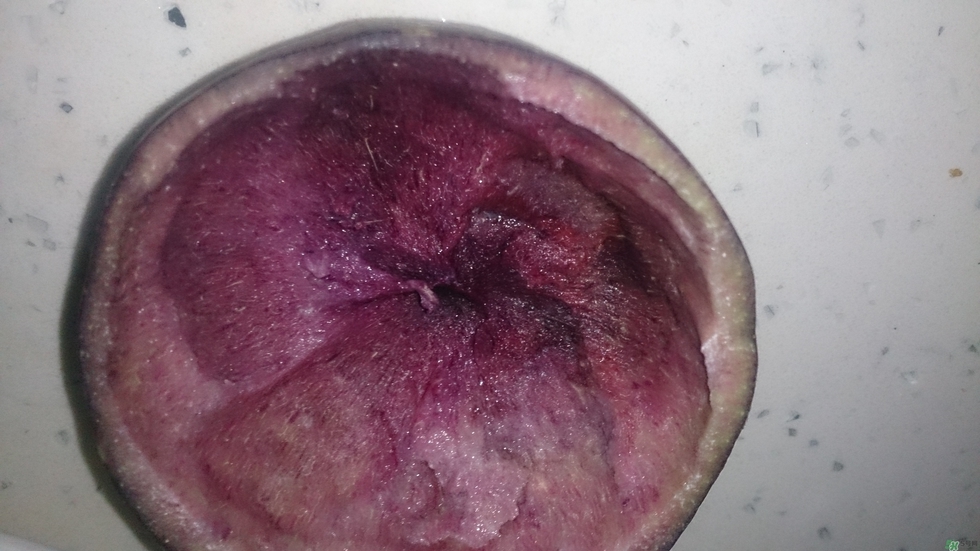 牛奶果怎么吃？牛奶果的功效與作用