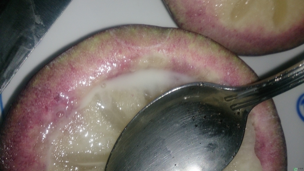 牛奶果怎么吃？牛奶果的功效與作用