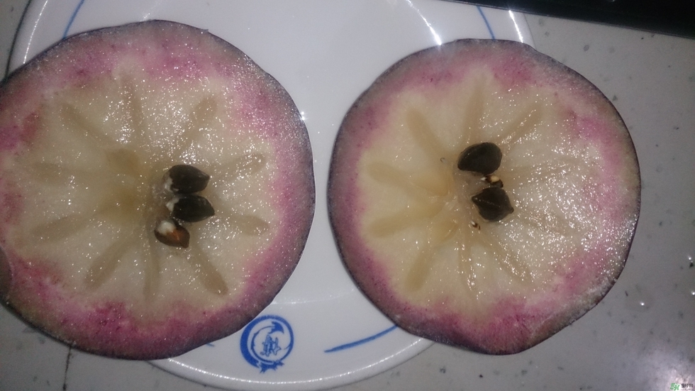 牛奶果怎么吃？牛奶果的功效與作用