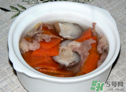 雞肉能和胡蘿卜一起吃嗎？雞肉和蘿卜可以一起吃嗎？
