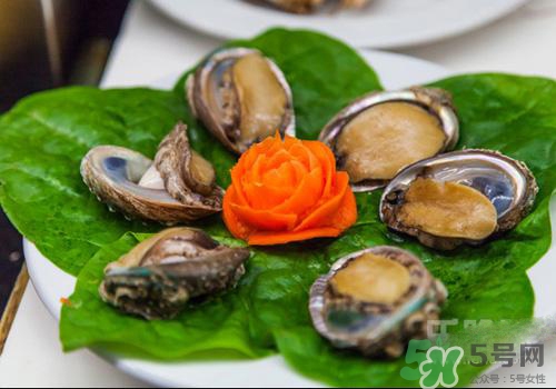 鮑魚是熱性還是涼性？鮑魚是寒性食物嗎？