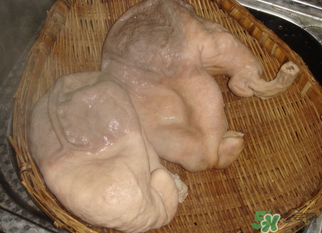 豬大腸怎么清洗？豬大腸怎么去臭味？