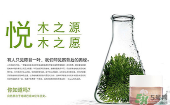 origins悅木之源適合什么年齡？悅木之源適合什么膚質(zhì)？