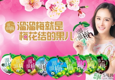 溜溜梅是梅花結(jié)的果嗎？溜溜梅的功效作用