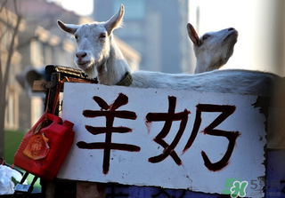 鮮羊奶怎么保存？鮮羊奶放冰箱能放多久？