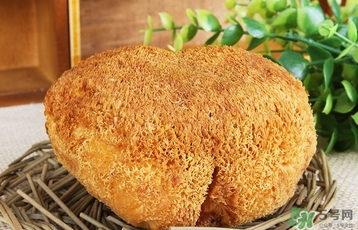 猴頭菇怎么吃？猴頭菇的功效與作用