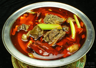 狗肉不能和什么一起吃？狗肉和什么相克？