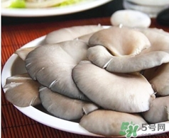 平菇的營養(yǎng)價值 平菇的功效與作用 平菇的營養(yǎng)價值 平菇的功效與作用