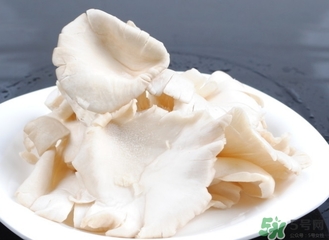 平菇的營養(yǎng)價值 平菇的功效與作用 平菇的營養(yǎng)價值 平菇的功效與作用