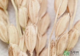 韓律適合什么膚質(zhì)？韓律適合敏感肌膚嗎？