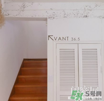vant氣墊粉底霜怎么樣？vant36.5粉霜粉膏好用嗎？