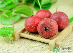 新鮮山楂什么時(shí)候上市？新鮮山楂什么時(shí)候成熟？