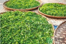 冬天可以喝綠茶嗎？冬天喝綠茶好還是紅茶好？