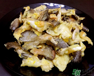 平菇能和雞蛋一起吃嗎？平菇和雞蛋能一起吃嗎？