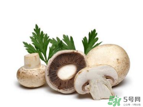 草菇怎么保存？新鮮草菇怎么保存？