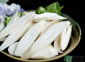 雞腿菇長白毛能吃嗎？雞腿菇怎么做好吃？