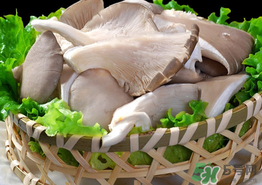 蘑菇可以放冰箱嗎？蘑菇放冰箱長毛了能吃嘛？