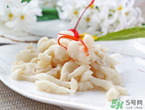 白玉菇孕婦能吃嗎？孕婦可以吃白玉菇嗎？