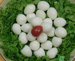 鵪鶉蛋一天吃幾個合適？鵪鶉蛋一天最多吃幾個？