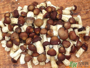 草菇可以放冰箱嗎？草菇放冰箱還能吃嗎？