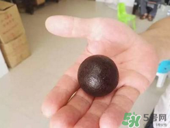 羊?qū)毷鞘裁?？羊?qū)殲槭裁催@么貴？