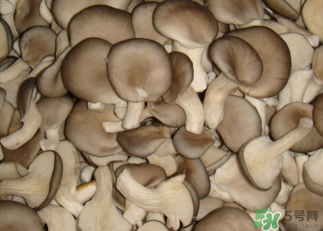 吃平菇有什么好處？平菇怎么做好吃？
