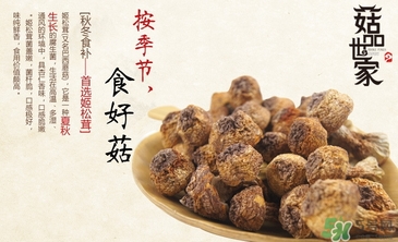 巴西蘑菇怎么吃？巴西蘑菇的作用與功效