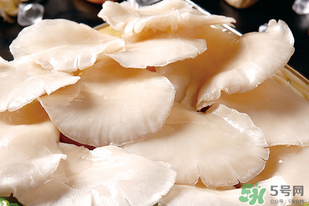 平菇怎么洗？平菇怎么洗才干凈？