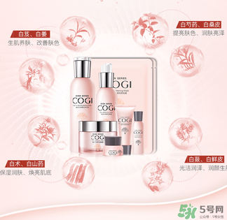 高姿大白水一套多少錢？高姿大白水多少錢一瓶？