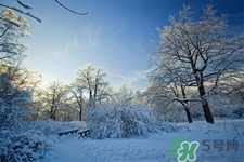 下雪天會(huì)打雷嗎？下雪天為什么會(huì)大雷？