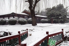 下雪天要打傘嗎？下雪天到底要不要打傘？
