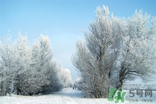 下雪天要打傘嗎？下雪天到底要不要打傘？