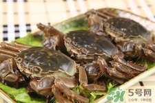 寶寶能吃螃蟹嗎？寶寶可以吃螃蟹肉嗎？