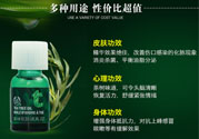 the body shop茶樹精油怎么用？美體小鋪茶樹精油怎么打開