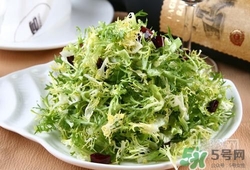 苦菊可以減肥嗎？苦菊怎么吃可以減肥？