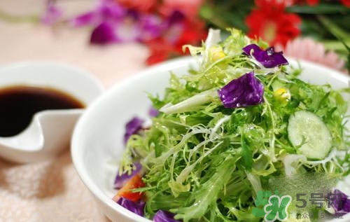 苦菊可以減肥嗎？苦菊怎么吃可以減肥？