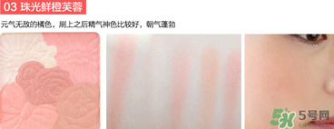 canmake花瓣腮紅珠光還是啞光好？canmake腮紅珠光好看還是啞光？