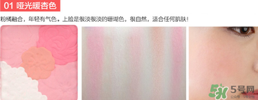 canmake花瓣腮紅珠光還是啞光好？canmake腮紅珠光好看還是啞光？