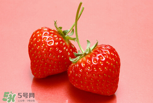 冬天有草莓嗎？冬天的草莓能吃嗎？