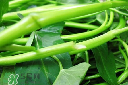 冬天可以吃空心菜嗎？冬天排毒多吃空心菜