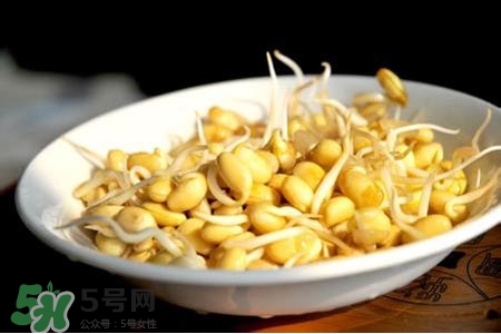 冬天可以發(fā)豆芽嗎？冬天怎樣發(fā)黃豆芽？