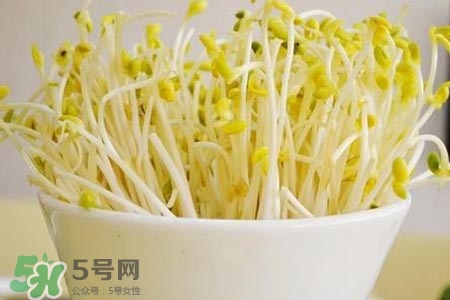 冬天可以發(fā)豆芽嗎？冬天怎樣發(fā)黃豆芽？