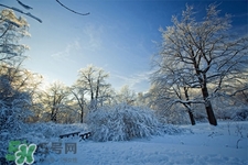 冬天怕冷吃什么好？冬天怕冷吃什么食物？