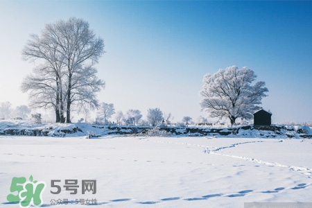冬天怕冷吃什么好？冬天怕冷吃什么食物？