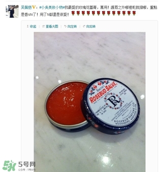史密斯花蕾膏怎么用？史密斯花蕾膏使用方法