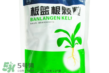 板藍(lán)根能天天喝嗎？板藍(lán)根可以經(jīng)常喝嗎？